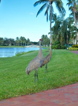 RiverWalk, 7603 Pine Island Way, West Palm Beach, Florida 33411, image 2