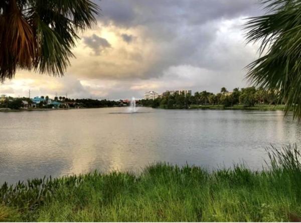 The Greenbrier, 50 Celestial Way #202, Juno Beach, Florida 33408, image 3
