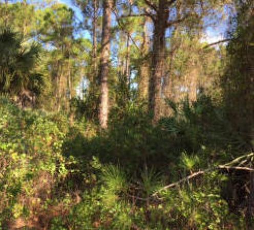 The Acreage, 14365 Key Lime Blvd, Loxahatchee, Florida 33470, image 1