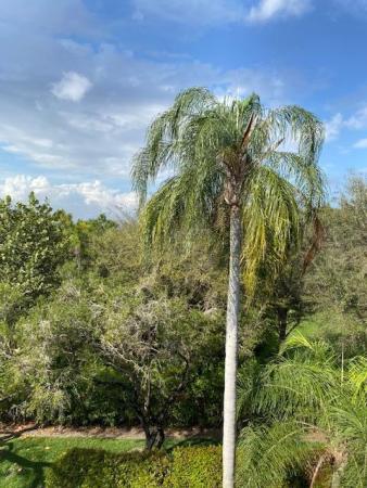 Huntington Lakes 4, 7281 Amberly Ln #405, Delray Beach, Florida 33446, image 2