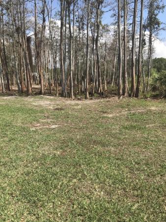 Homeland, 5681 Reynolds Rd, Lake Worth, Florida 33449, image 1