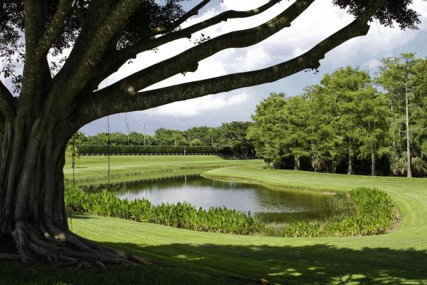 Manchester Greens At Wycliffe, 4119 Manchester Lake Dr, Lake Worth, Florida 33449, image 2