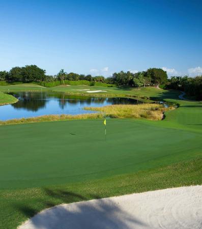 Manchester Lakes Estates At Wycliffe, 10544 Northgreen Dr, Lake Worth, Florida 33449, image 2