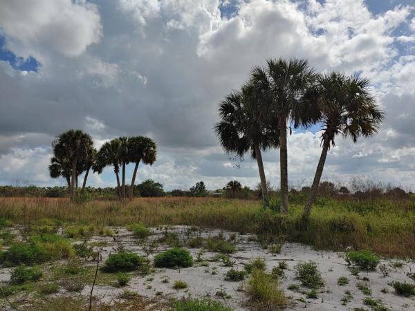 Tbd Germany Canal Rd, Fort Pierce, Florida 34950, image 2