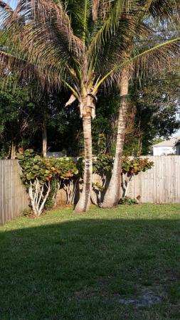 Palm Trails, 2033 SW Beard St, Port St. Lucie, Florida 34953, image 2