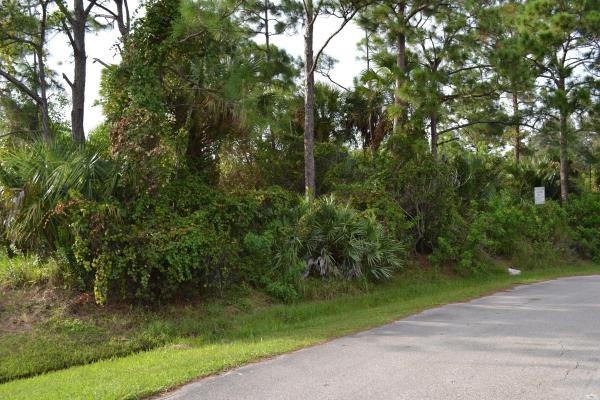 0 SW Letchworth Sw Street, Port St. Lucie, FL 34953, Port St. Lucie, Florida 34953, image 2