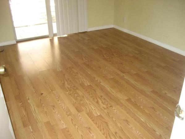 Village Green 4, 2100 Springdale Blvd #217, Palm Springs, Florida 33461, image 3