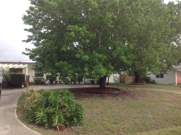 River Park, 426 SE Tranquilla Ave, Port St. Lucie, Florida 34983, image 1