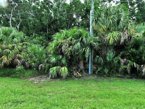 414 SW Tulip Blvd, Port St. Lucie, Florida 34953, image 1