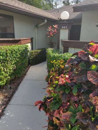 Strathmore Gate West, 441 Midsummer Ct, Royal Palm Beach, Florida 33411, image 1