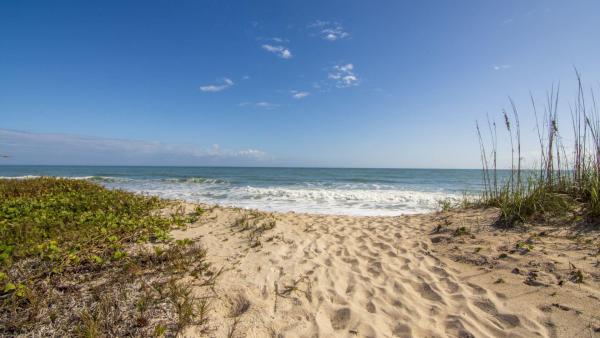 Ocean Pearl, 3920 N Highway A1a #1203, Fort Pierce, Florida 34949, image 1