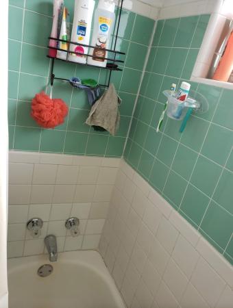 Freshwater, 803 Douglass Ave, West Palm Beach, Florida 33401, image 3
