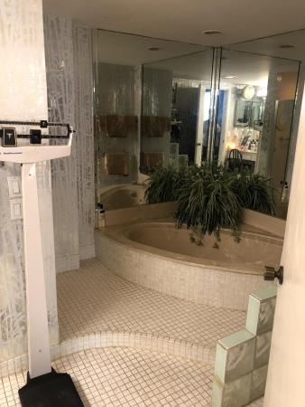 Rapallo North, 1701 S Flagler Dr #503, West Palm Beach, Florida 33401, image 2