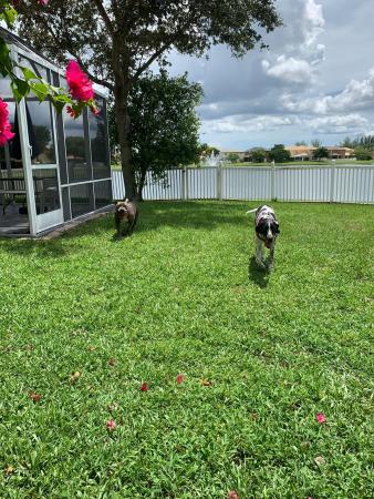 Liberty Bay At Briar Bay, 3280 Commodore Ct, West Palm Beach, Florida 33411, image 1
