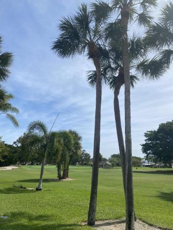 Windermere, 818 Windermere Way, Palm Beach Gardens, Florida 33418, image 2