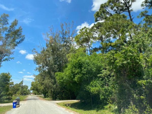The Acreage, 11291 42nd Rd N, West Palm Beach, Florida 33411, image 1