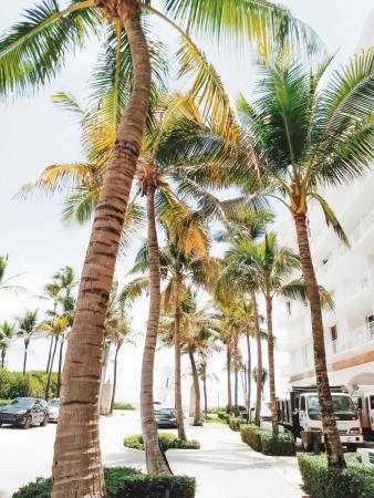 Stotesbury Park, 357 N Lake Way, Palm Beach, Florida 33480, image 1