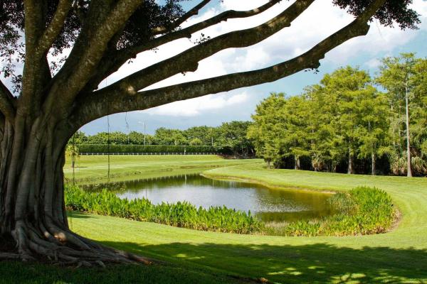Dover At Wycliffe, 10134 Dover Carriage Ln, Lake Worth, Florida 33449, image 2