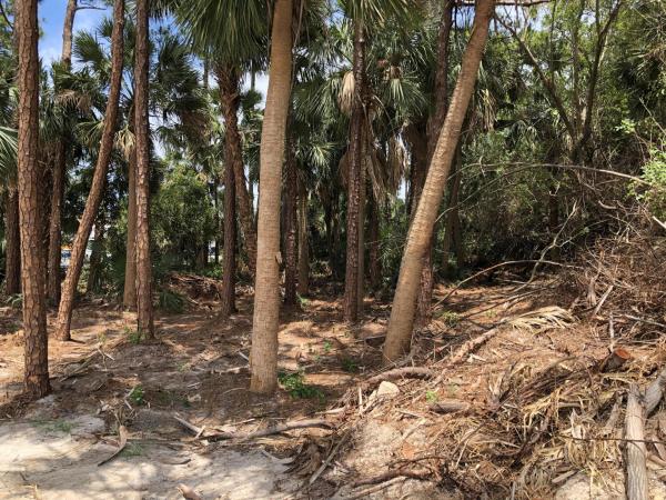 Oak Hammock, 880 SW Sultan Dr, Port St. Lucie, Florida 34953, image 1