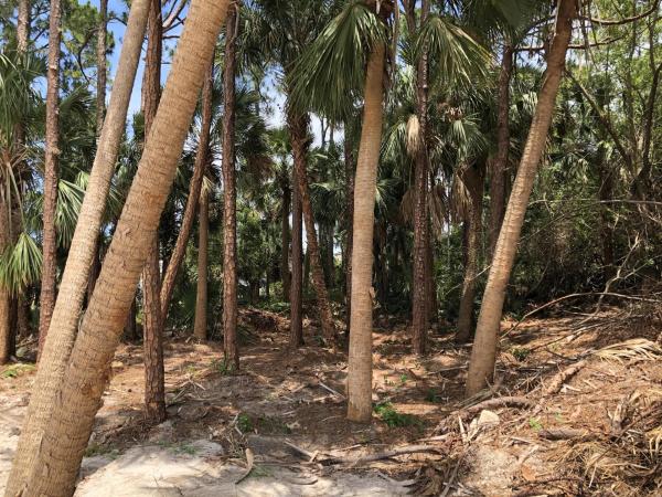 Oak Hammock, 880 SW Sultan Dr, Port St. Lucie, Florida 34953, image 2