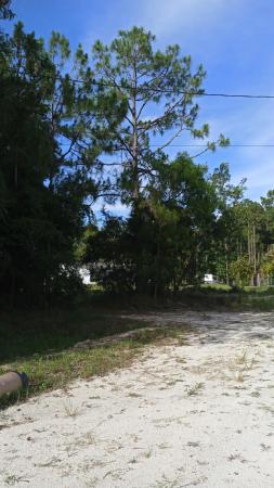 The Acreage, 11291 42nd Rd N, West Palm Beach, Florida 33411, image 1