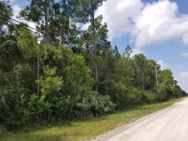 The Acreage, 12400 80th Ln N, West Palm Beach, Florida 33412, image 1