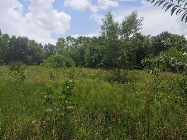 Sunny Urban Meadows, 5110 208th Dr N, Loxahatchee, Florida 33470, image 2