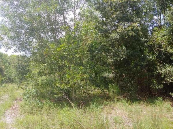 Sunny Urban Meadows, 5110 208th Dr N, Loxahatchee, Florida 33470, image 1