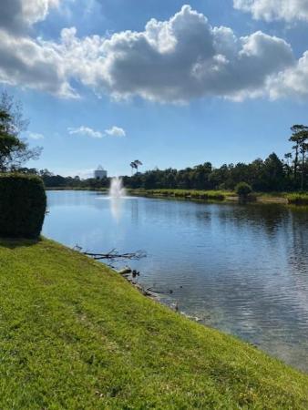 Winchester Courts, 11569 Winchester Dr, Palm Beach Gardens, Florida 33410, image 2