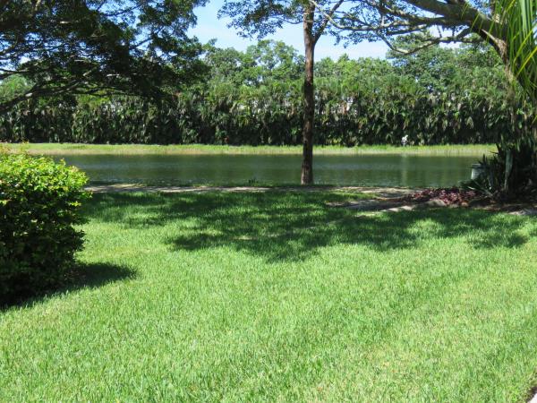 Glenwood Townhomes, 819 8th Ter, Palm Beach Gardens, Florida 33418, image 1
