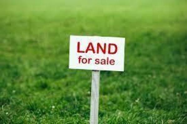 The Acreage, 14826 76th Rd, Loxahatchee, Florida 33470, image 1