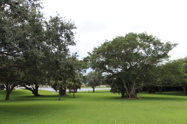 3300 Jaywood Ter #2160, Boca Raton, Florida 33431, image 1