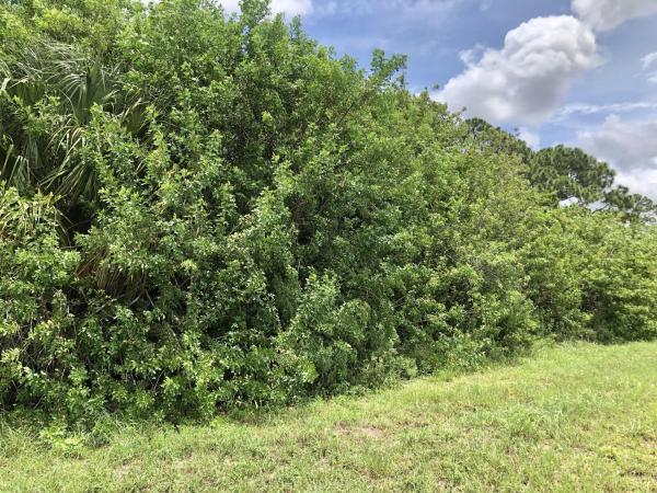 Oak Hammock, 856 SW Sultan Dr, Port St. Lucie, Florida 34953, image 2