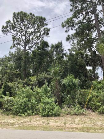 Oak Hammock, 856 SW Sultan Dr, Port St. Lucie, Florida 34953, image 1