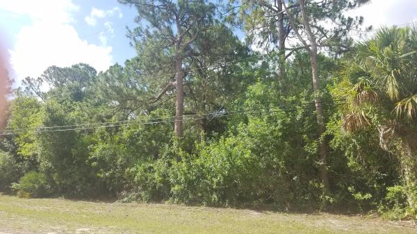 The Acreage, S-287 N 50th Street North St, Loxahatchee, Florida 33470, image 2