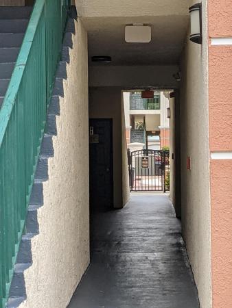 Mezzano At Baywinds, 9833 Baywinds Dr #7106, West Palm Beach, Florida 33411, image 3