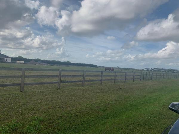 Wellington Preserve, 12767 Wellington Preserve Blvd, Wellington, Florida 33449, image 1