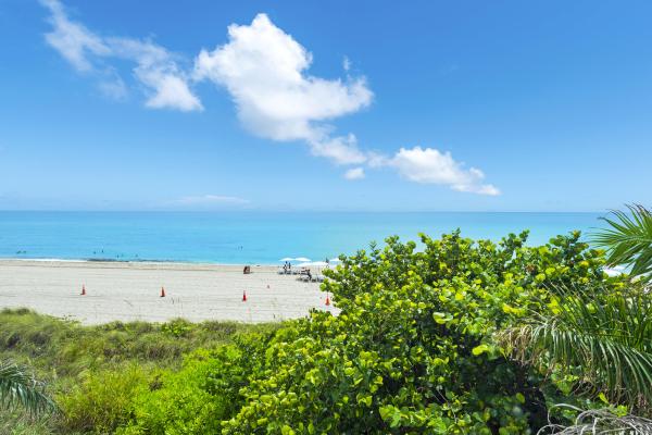 Tdr Tower 3, 15811 Collins Ave #1802, Sunny Isles Beach, Florida 33160, image 2