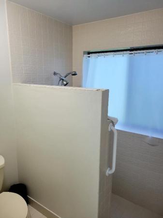 Arbor Wood Villas, 8943 Old Pine Rd, Boca Raton, Florida 33433, image 3