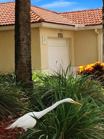 Floral Lakes, 15426 Floral Club Rd, Delray Beach, Florida 33484, image 2