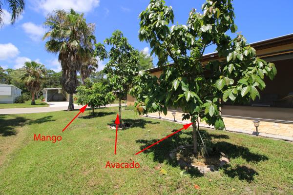 Spanish Lakes One, 79 Golf Dr, Port St. Lucie, Florida 34952, image 3