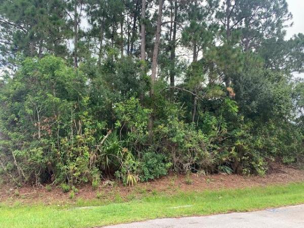 3549 SW Vollmer St, Port St. Lucie, Florida 34953, image 1