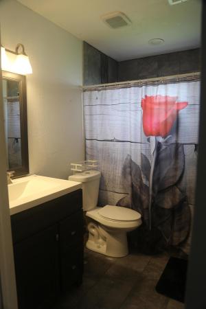 Counterpoint Estates, 10432 Showboat Ln, Royal Palm Beach, Florida 33411, image 1