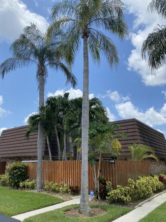 Lago Lucerne, 3907 Carolina Dr, Lake Worth, Florida 33461, image 2