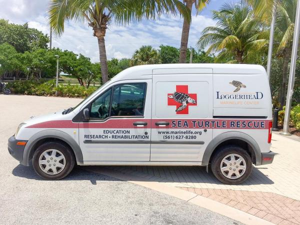 Palm Beach Gardens No HOA, 4264 Hyacinth Cir, Palm Beach Gardens, Florida 33410, image 3