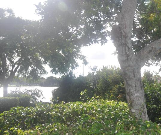 Plum At Boca Pointe, 6781 Via Regina, Boca Raton, Florida 33433, image 1