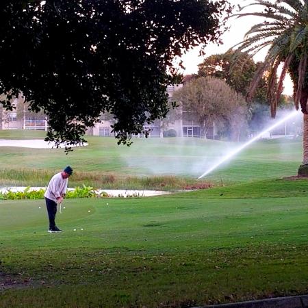 Whitehall Of Pine Island Ridge, 1508 Whitehall Dr #405, Davie, Florida 33324, image 2