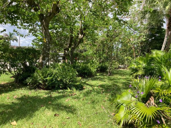 La Hamaca, 6337 Miller Dr, South Miami, Florida 33155, image 3
