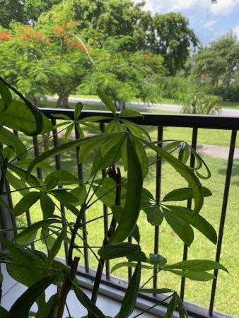 Huntington Lakes 2, 6865 Huntington 205th Ln #205, Delray Beach, Florida 33446, image 2