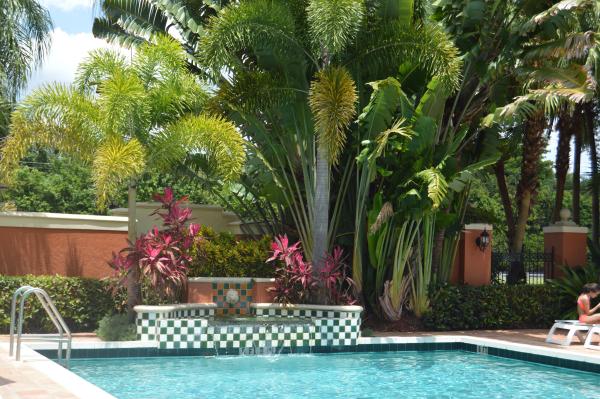 Bocar, 3237 Clint Moore Rd #105, Boca Raton, Florida 33496, image 2